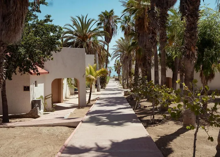 Hotel Buena Vista Oceanfront & Hot Springs 3*