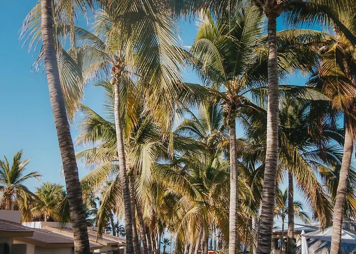Buena Vista Oceanfront & Hot Springs Hotel 3*