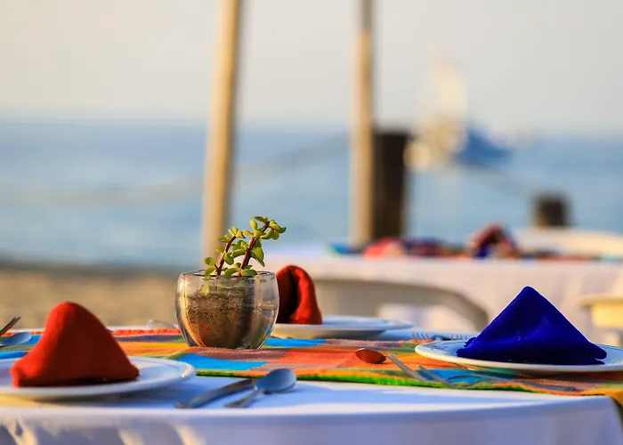 Buena Vista Oceanfront & Hot Springs Hotel 3*