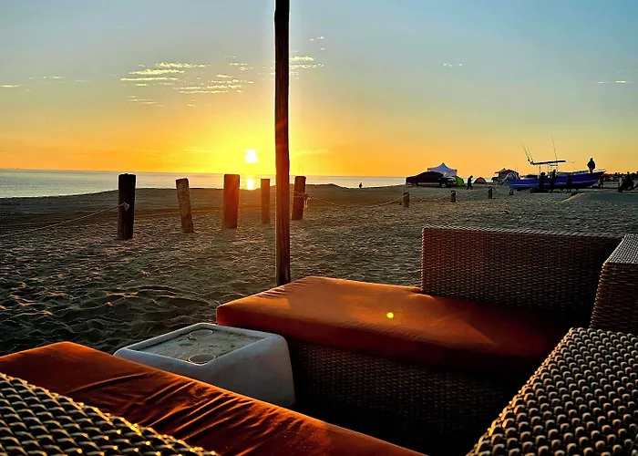 Hotel Buena Vista Oceanfront & Hot Springs